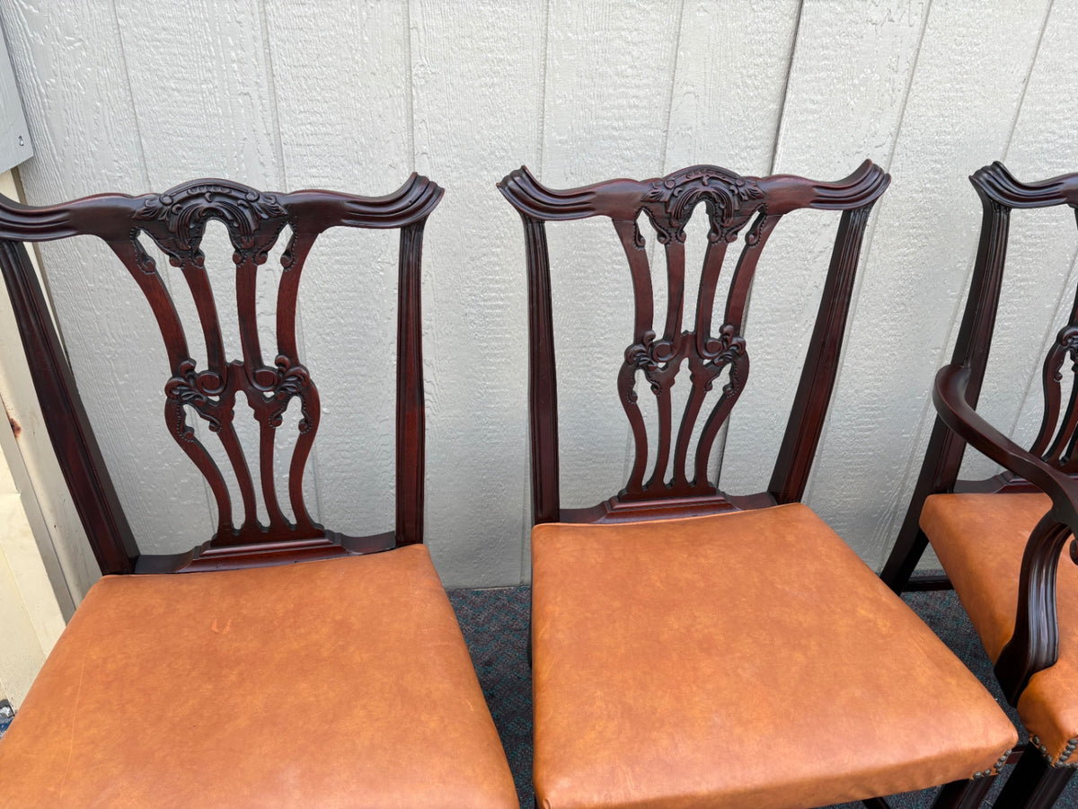 66988  Set of 6 Charak Dining Chairs, Chippendale Style, Mahogany
