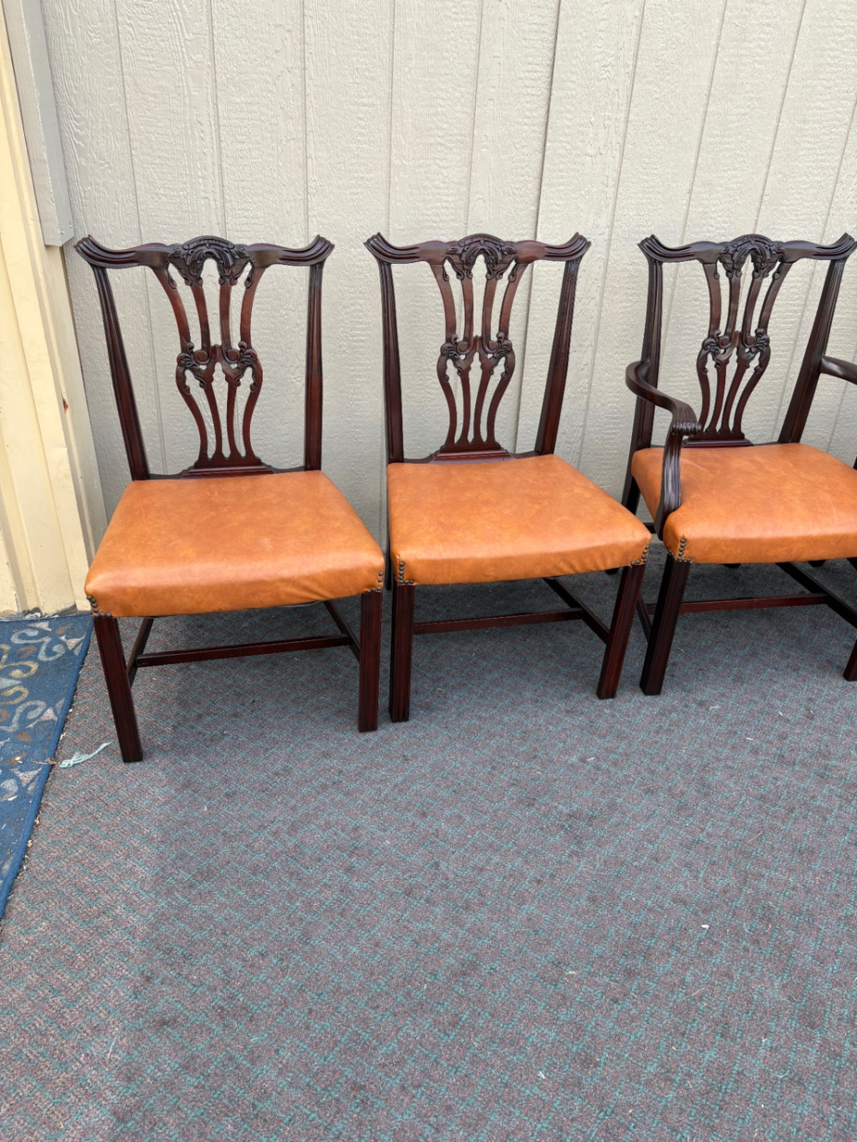 66988  Set of 6 Charak Dining Chairs, Chippendale Style, Mahogany