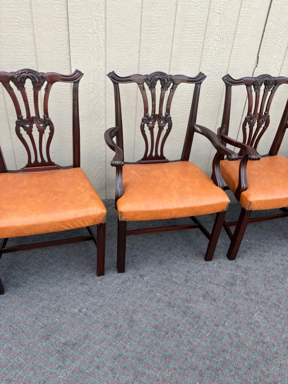 66988  Set of 6 Charak Dining Chairs, Chippendale Style, Mahogany