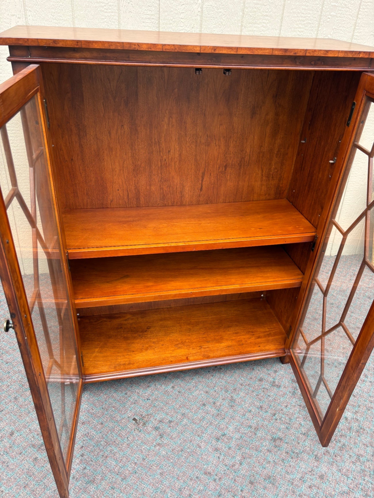Vintage Two-Door Bookcase with Glass Paneled Doors