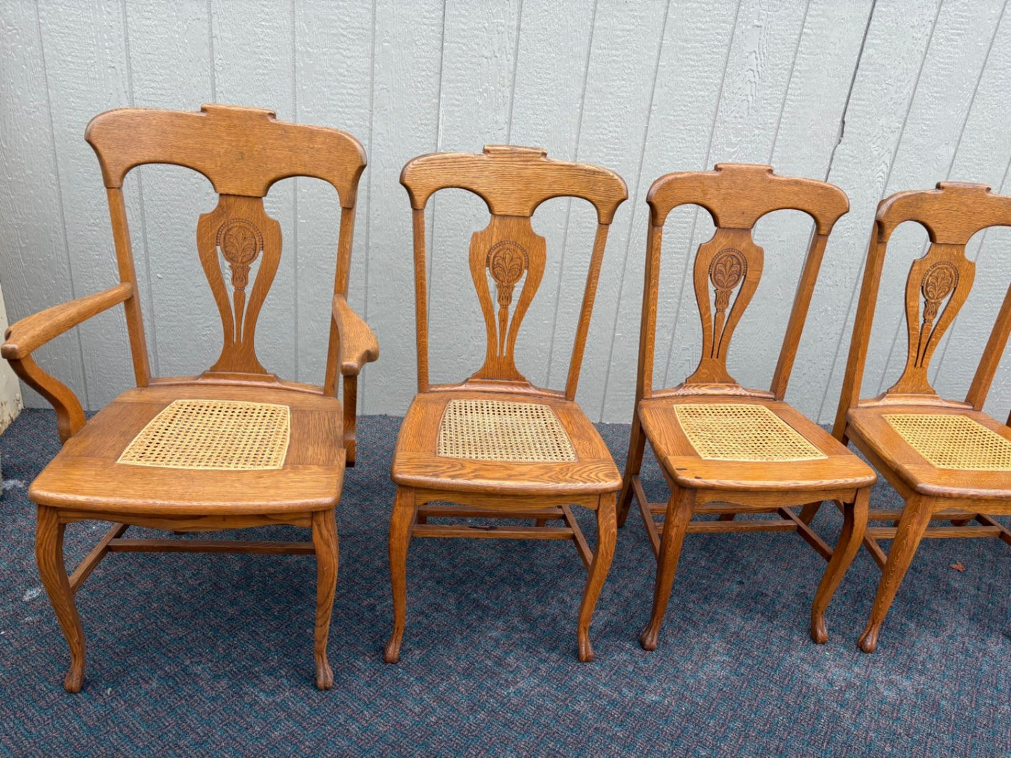 67360 Set of 6 Oak Dining Chairs, Queen Anne Style with Cane Seats